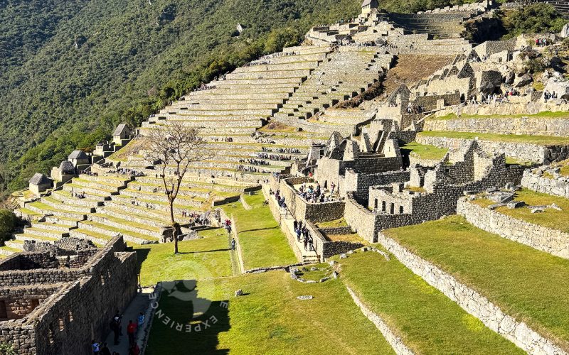 Machu Picchu (40)